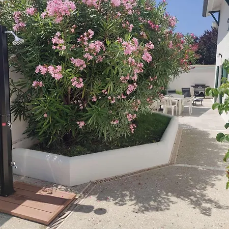 Avec Terrasse, 2 Chambres, Proche - 4 Pers - Fr-1-494-198 Apartment *